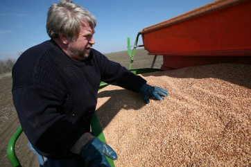 На Дону побит исторический рекорд по уборке зерна
